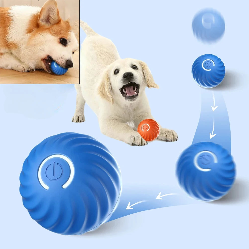 CanineOrb - the sphere that keeps your dog happy and active