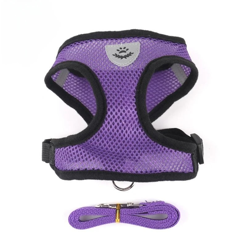 PawFit Harness - Comfort, Control, and Safety for Every Adventure!