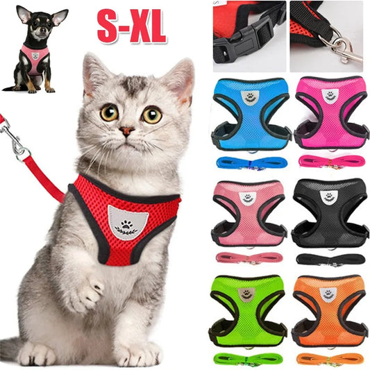 PawFit Harness - Comfort, Control, and Safety for Every Adventure!