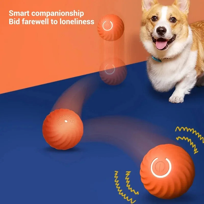 CanineOrb - the sphere that keeps your dog happy and active