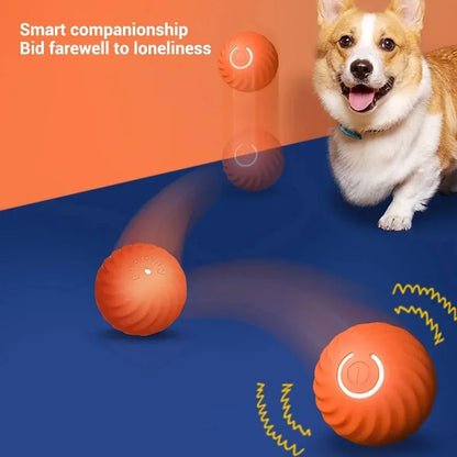 CanineOrb - the sphere that keeps your dog happy and active