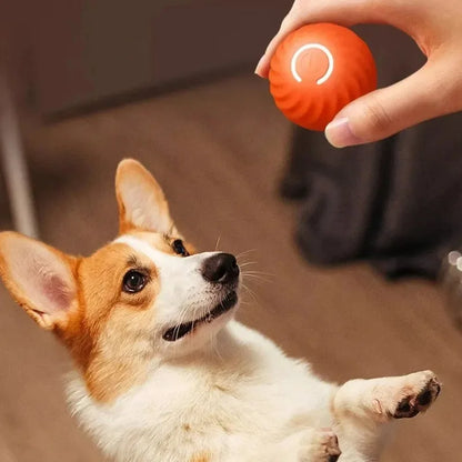 CanineOrb - the sphere that keeps your dog happy and active